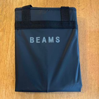 BEAMS スーツ収納バック