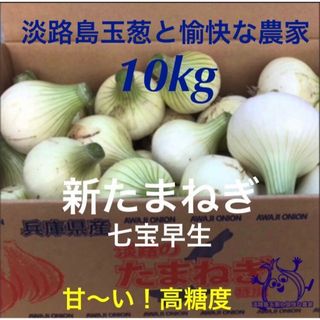 淡路島産 新玉ねぎ 10kg 高糖度 新たまねぎ 新玉葱(野菜)