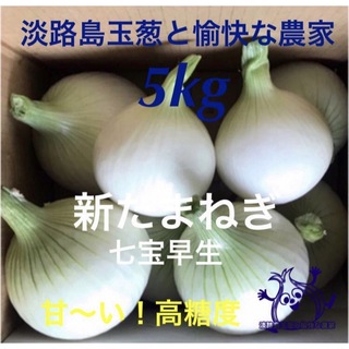 淡路島産 新玉ねぎ 七宝早生 5kg 高糖度 新玉ねぎ 新たまねぎ(野菜)