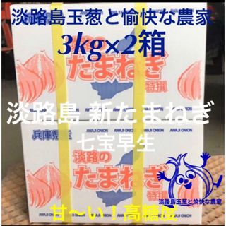 淡路島産 新玉ねぎ 3kg×2箱 高糖度 新たまねぎ 新玉葱(野菜)