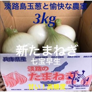 淡路島産 新玉ねぎ 七宝早生 3kg 高糖度 新たまねぎ 新玉葱(野菜)