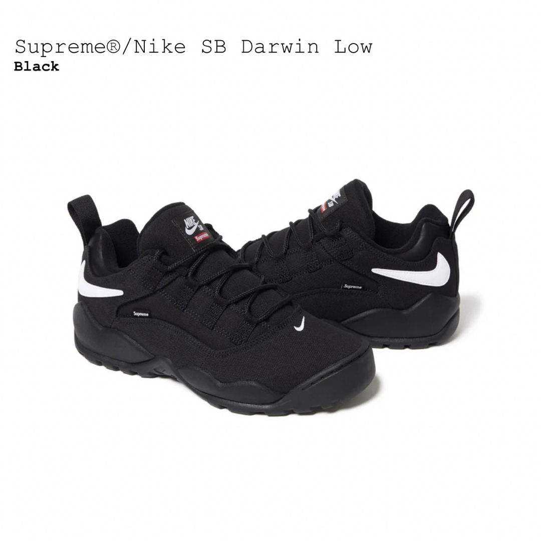 Supreme(シュプリーム)のSupreme Nike SB Darwin Low 25.5cm メンズの靴/シューズ(スニーカー)の商品写真