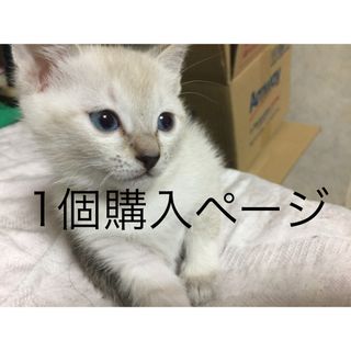 一個購入　専用ページ