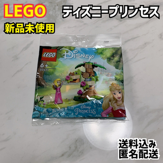 LEGO レゴ ディズニープリンセス 30671 オーロラ姫の森の遊び場 新品