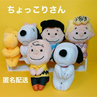 SNOOPY - ちょっこりさん スヌーピー