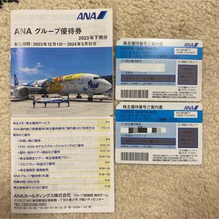 エーエヌエー(ゼンニッポンクウユ)(ANA(全日本空輸))の【匿名配送】ANA 株主優待　2枚(航空券)