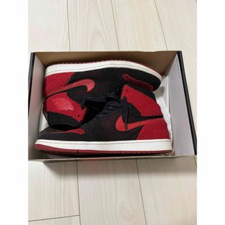 Air Jordan 1 Retro Hi Flyknit bred 29.0