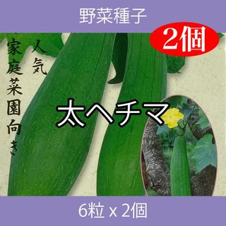 野菜種子 ECS 太ヘチマ 6粒 x 2袋(野菜)