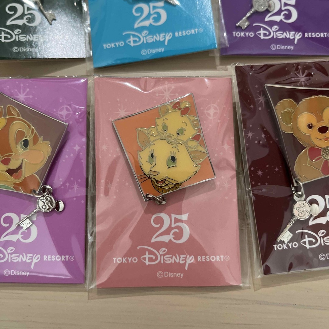 Disney(ディズニー)のディズニーリゾート25周年　ピンバッジ エンタメ/ホビーのアニメグッズ(バッジ/ピンバッジ)の商品写真