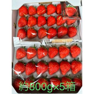 さぬきひめ 約4kg (500g×5箱) いちご ジャム用(フルーツ)