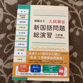 入試頻出新国語問題総演習(語学/参考書)