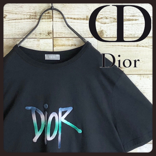 Christian Dior - クリスチャンディオール ステューシー tシャツ ビックDIOR 刺繍ロゴ入り