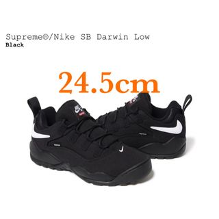 シュプリーム(Supreme)のSupreme Nike SB Darwin Low BLACK 24.5cm(スニーカー)