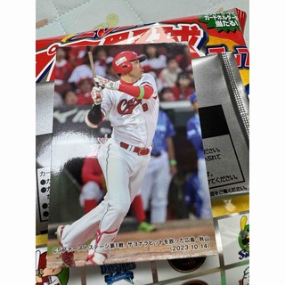 ヒロシマトウヨウカープ(広島東洋カープ)のプロ野球チップスカード2024 秋山(その他)