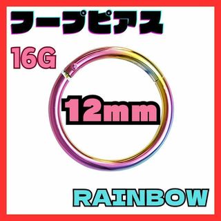 16G 12mm　レインボー フープ ピアス セグメント サージカルステンレス(ピアス(両耳用))