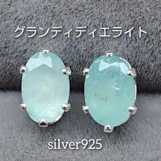 淡色グランディディエライト  ×  silver925  ピアス(ピアス)