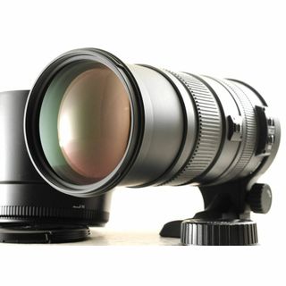 SIGMA 150-500mm F5-6.3 APO HSM ニコン