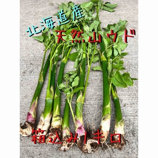 新鮮 北海道産 天然山ウド 1キロ(野菜)