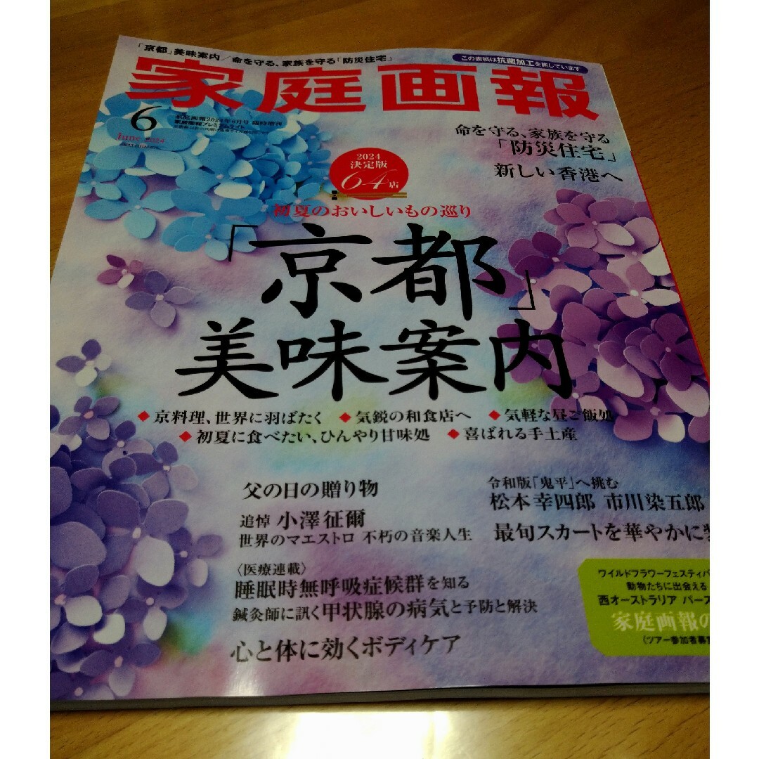 家庭画報プレミアムライト版 2024年 06月号 [雑誌] エンタメ/ホビーの雑誌(その他)の商品写真