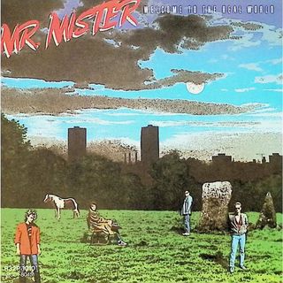 ウェルカム・トゥ・ザ・リアル・ワールド / Mr.ミスター (CD)(CDブック)