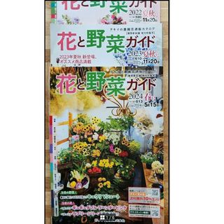 花と野菜ガイド　タキイ種苗　タキイ農園芸通販カタログ　2024年春号(生活/健康)