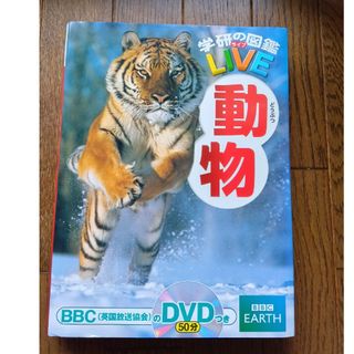 ガッケン(学研)の学研の図鑑　動物！(絵本/児童書)