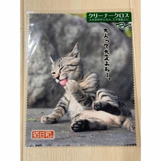 メガネ拭き  猫日和  クリーナークロス  猫