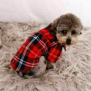 【２枚セット】チェック柄　ワンちゃん　服　小型犬　ブルー　レッド(犬)