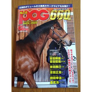 Gallop　丸ごとPOG　2024-2025　競馬(趣味/スポーツ)