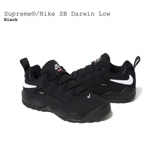 シュプリーム(Supreme)のSupreme Nike SB Darwin Low 24cm(スニーカー)