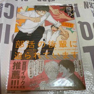 部活の後輩に迫られています  腰乃(ボーイズラブ(BL))