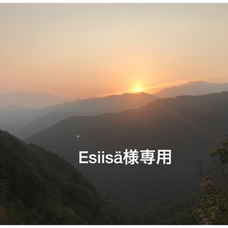 ☆Esiisä様専用♬☆(菓子/デザート)