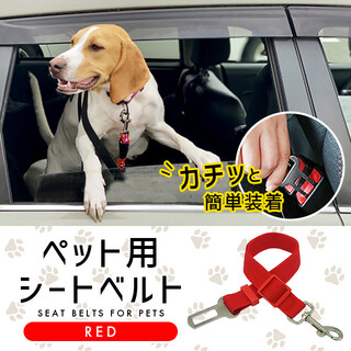 ワンコ ネコちゃん 車 シートベルト 安全 装着簡単 ペット リード レッド(犬)