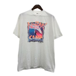 90年代 USA製 FRUIT OF THE LOOM フルーツオブザルーム No FEAR! 半袖Ｔシャツ ホワイト (メンズ XL) 中古 古着 Q5506(Tシャツ/カットソー(半袖/袖なし))