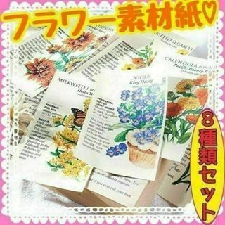 ♥匿名配送 フラワー素材紙 花事週刊 コラージュ 紙モノ おすそ分け 詰め合わせ(その他)