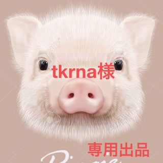 tkrna様　専用出品(各種パーツ)