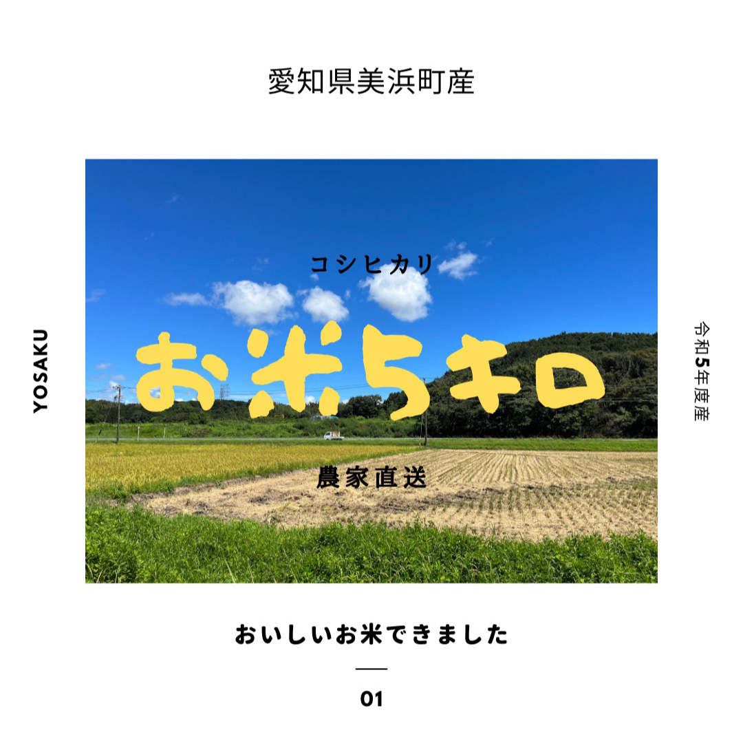 お米5キロ 愛知県美浜町産 コシヒカリ 食品/飲料/酒の食品(米/穀物)の商品写真