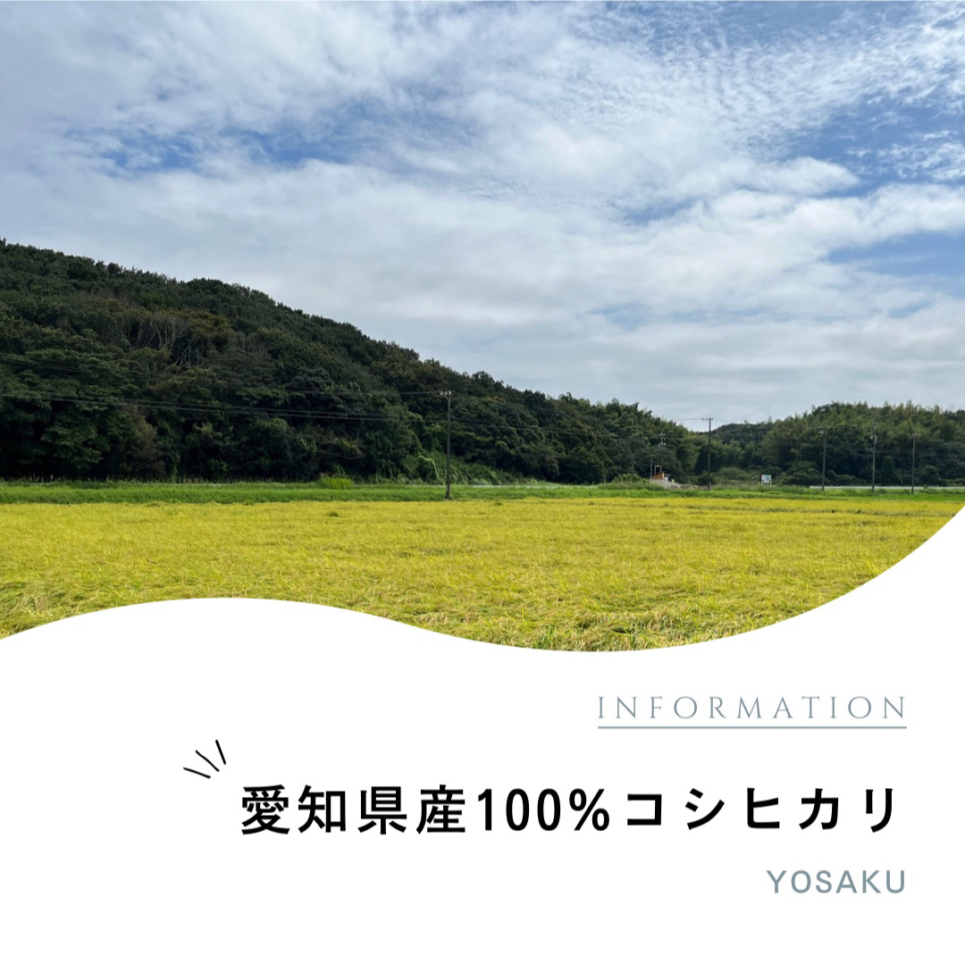 お米5キロ 愛知県美浜町産 コシヒカリ 食品/飲料/酒の食品(米/穀物)の商品写真