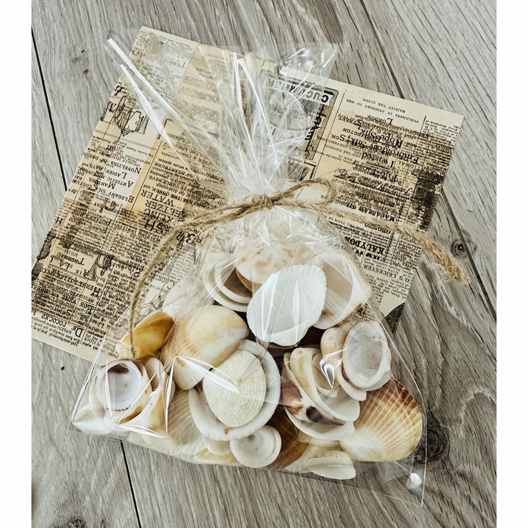 宮古島　貝がら　ハンドメイド ハンドメイドの素材/材料(各種パーツ)の商品写真