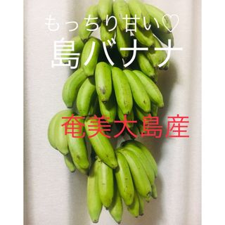 もっちり甘くて美味しい♡ 奄美大島産　無農薬　島バナナ　国産バナナ(フルーツ)