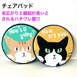 【新品】チェアパッド　ハチワレ　イエロー　チャトラ　グリーン　座布団　猫雑貨(キャラクターグッズ)