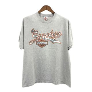 ハーレーダビッドソン(Harley Davidson)のUSA製 HARLEY DAVIDSON ハーレーダビッドソン テネシー 半袖Ｔシャツ バイク グレー (メンズ XL) 中古 古着 Q5533(Tシャツ/カットソー(半袖/袖なし))