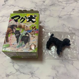 マグ犬　トイプードル(キャラクターグッズ)