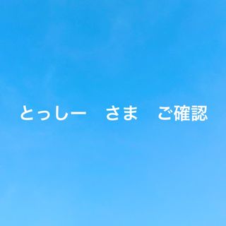 とっしー　さま　コーラプラント　株分け　苗(その他)