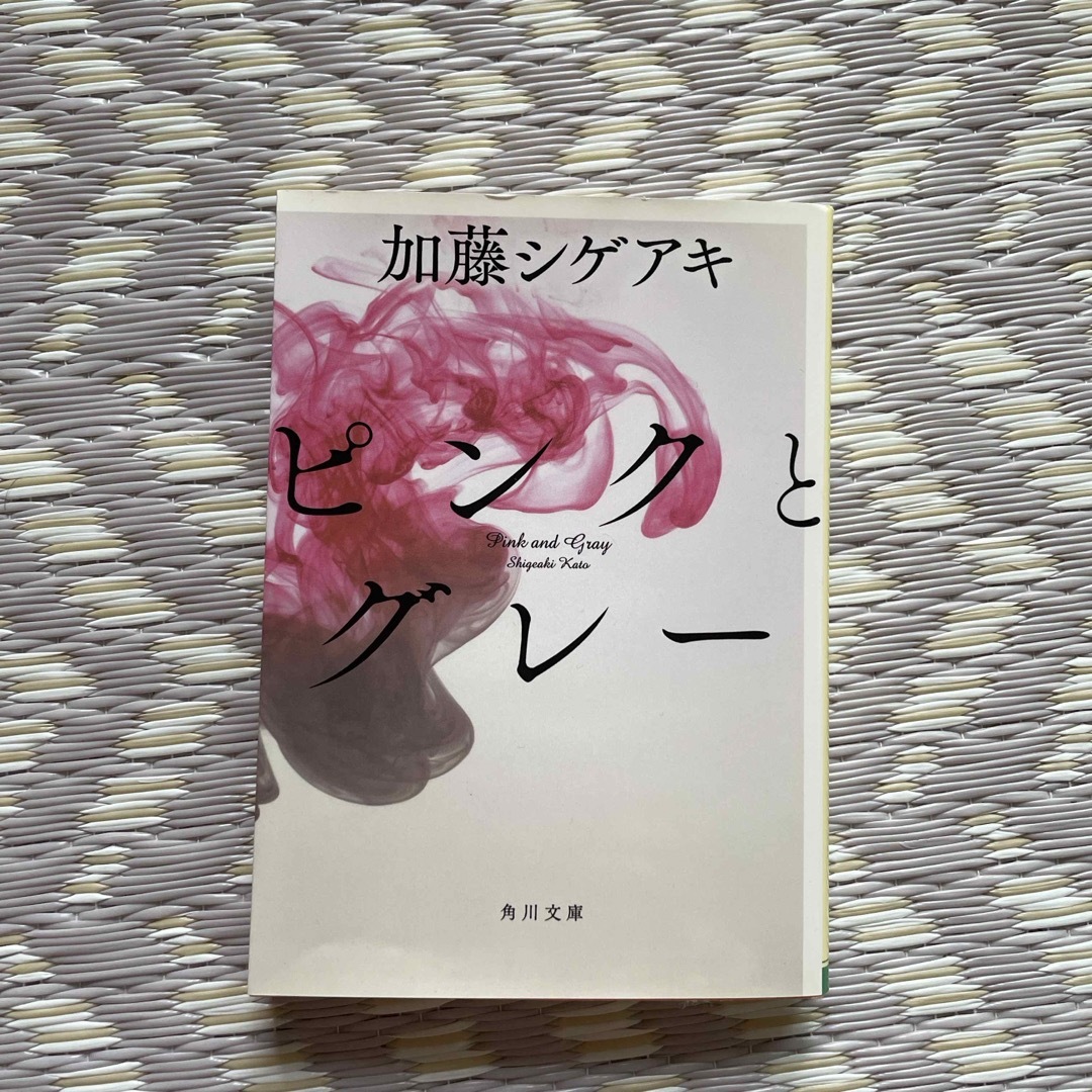 ピンクとグレ－ エンタメ/ホビーの本(その他)の商品写真