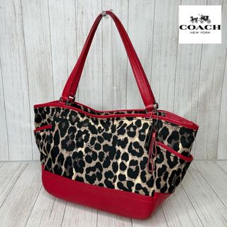 コーチ(COACH)のCOACH コーチ　豹柄　トートバッグ　ハンドバッグ25(トートバッグ)