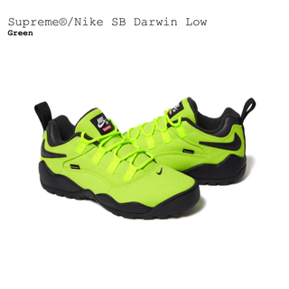 シュプリーム(Supreme)のSupreme Nike SB Darwin Low Green 10(スニーカー)