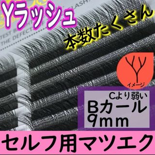 セルフ用マツエク★Yラッシュ　1点限り！本数たくさんなので長く使える(まつ毛美容液)