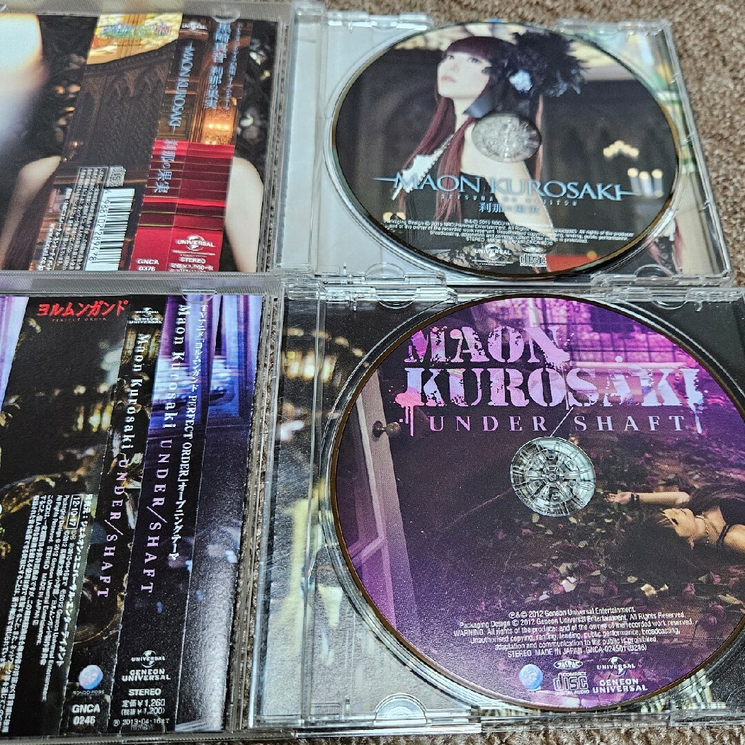 刹那の果実 エンタメ/ホビーのCD(ポップス/ロック(邦楽))の商品写真