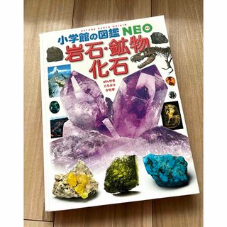 ショウガクカン(小学館)の美品　図鑑NEO 岩石・鉱物・化石 ⭐︎ 図鑑 小学館(絵本/児童書)